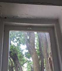 Birmingham Bloomfield Art Center Classes Renovations The Bbac Birmingham Bloomfield Art Center