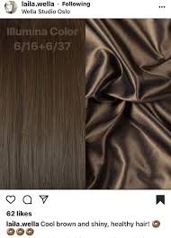 Hair Haircolor Haircare Wella Hair Color Hair Color Formulas Redken Hair Color