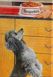 Dog Food Ad 1962 Vintage Poodle Vintage Dog Animals