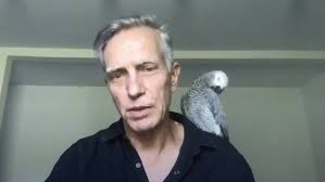 Webcast: Studio Visit: Joseph Havel