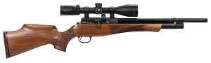 Airguns of arizona is a member of vimeo, the home for high quality videos and the people who love them. Airguns Of Arizona Archives Airgun Wire