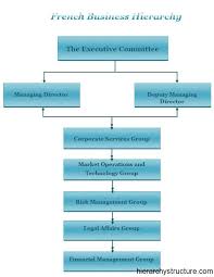 French Business Hierarchy Hierarchy Business Nursing Career