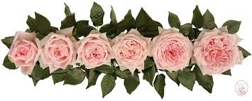 Princess Hitomi® Bouquet