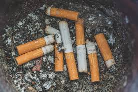 En effet, composé de 4 000 substances indésirables, un mégot pollue, à lui seul, 500 litres d'eau. La Releve Et La Peste