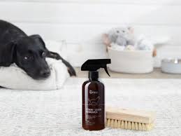 We run around from store to store, looking for the best carpet cleaner solution for pets so we can keep our house presentable for guests. The 9 Best Carpet Cleaner Solutions For Pets In 2021