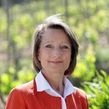 The Unwanted Son-in-Law's Rise to Power Theron Phoenix, the adopted son of  the Adler family, ventured alone into the forbidden territory of Celestial  Peak to save them. He endured years of harsh