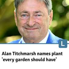 Late Autumn in the forest. Hamilton, Scotland