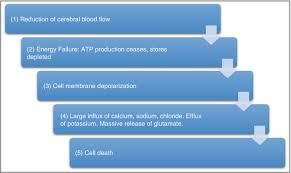 Image result for Stroke Pathophysiology