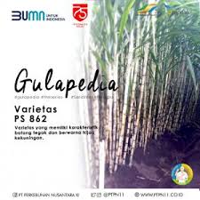 Check spelling or type a new query. Pt Perkebunan Nusantara Xi