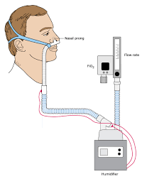 His vital signs at the time of presentation were oral temperature of 99.7°c, heart rate of 105 bpm, respiratory rate of 35, blood pressure of 113/99 mmhg and oxygen saturation. Heated And Humidified High Flow Nasal Oxygen In Adults Practical Considerations And Potential Applications Uptodate