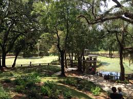 The main difference in taste between spring water and water from municipal sources may. Radium Springs In Albany Ga