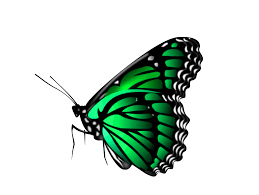 Zip icons to download | png, ico and icns icons for mac. Part 4 New 1000 Png Zip File Download All New Editing Png 1088988 Png Images Pngio