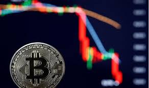 As a result, over the years, most of the coins vanished, but dogecoin prevailed. Bitcoin Bust Good Chance Cryptocurrency Will Be Worthless As Btc Value Plunges City Business Finance Express Co Uk
