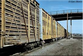 The Cattle Car Stock Car Stock Car Train Tracks Rail Car