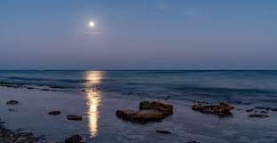 How does the Moon affect life on Earth? | Natural History Museum