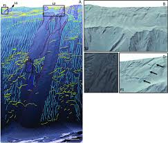 Image result for slipface