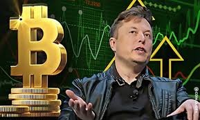 When his company, tesla, invested $1.5 billion in bitcoin and allowed it to be used to pay for cars, the largest cryptocurrency in the world saw a huge. Confirmed Elon Musk Scam Giveaway Address Receives 5 Btc By Coinquora