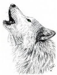 Thanks for watching our channel. How To Draw A Wolf Howling Head Novocom Top
