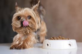We microchip our puppies and send them home with a crate and going home kit. Blog Nhv Natural Pet Products