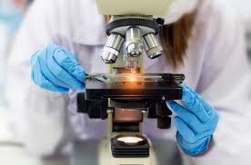 Asahi Kasei and Axolabs Partner