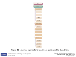 health information professionals ppt download