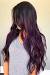 Peek A Boo Plum Highlights