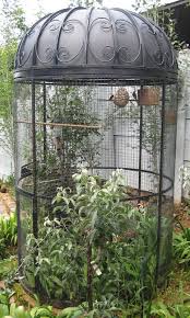 Bird Cages Custom Made Photo Gallery Big Bird Cage Bird Cage Decor Bird Houses