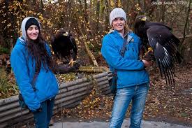The Raptors Is Vancouver Island S Premier Flying Birds Of Prey Attraction Located In Duncan In The Cowichan Valley On Vancouver Island Travel Dreams Bird Girl