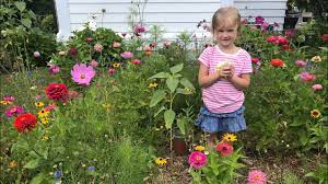 Buy these products now at fantastic deals from trusted suppliers. How To Create Your Own Wildflower Garden From Seeds From The Dollar Store Youtube