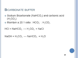 Introduction To Acid Base Balance 1 Dr Sadia