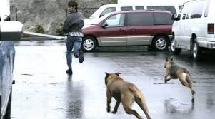 Maybe you would like to learn more about one of these? Arti Mimpi Dikejar Anjing Bermakna Baik Dan Buruk Terlengkap Blog Nurdin Sikalem