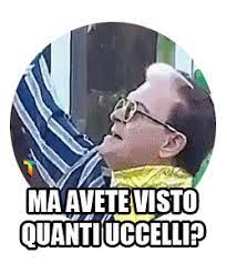Se la vostra home di facebook esplode per la quantità di post denominati #dollypartonchallenge è ora di correre ai ripari e aggiornarvi sull'ultima tendenza che sta impazzando non solo tra i comuni …. Cristiano Malgioglio Uccelli Sticker By Trendit For Ios Android Giphy