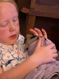 What can I do to help a slow-growing chick with pasty butt?