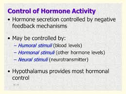 Chapter 10 The Endocrine System 10 1 Homeostasis Chemical Messages Help Maintain Homeostasis In The Body Coordinated By Nervous Endocrine Ppt Download