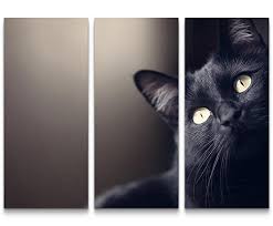eau zone wandbild auf leinwand 130x90cmcm schwarze katze portrait katzen katzenspielzeug katzenbaum kaufen ka schwarze katze katzen wandbilder auf leinwand