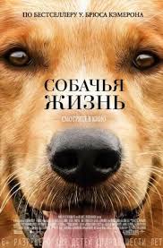 умница уилл хантинг смотреть онлайн в хорошем качестве бесплатно Sobachya Zhizn 2017 Smotret Onlajn Polnyj Film Hd 720 V Horoshem Kachestve Pro Sobak A Dogs Purpose Movies Online Full Movies