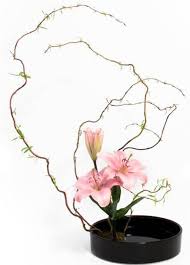 We did not find results for: A Beginner S Guide To The Principles Of Floral Design Zflowers Com Blog