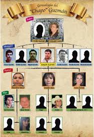 Si joaquín guzmán loera hubiera sido futbolista, desde hace tiempo seríamos campeones del mundo. Family Tree For Mexico S El Chapo Guzman El Chapo Guzman Family Tree El Chapo