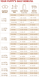 Puppy Feeding Weight Online Charts Collection