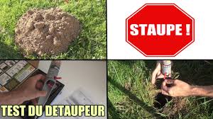 Check spelling or type a new query. Piege A Taupe Tuer Une Taupe Test Detaupeur Myriad Anti Taupe Petard Youtube