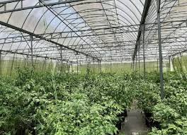 Jabatan kesihatan negeri sarawak jalan tun abang haji openg, 93590 kuching, sarawak. Anim Agro Technology Tkpm Rampangi Satu Tinjauan