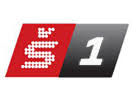 Online футбол, хоккей, баскетбол, теннис. Sport Tv 1 Lyngsat