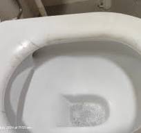 Why does the toilet bowl plastic cover get black stains and ...