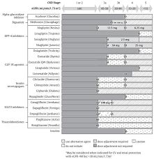 Diabetes Canada Clinical Practice Guidelines Chapter 13 Pharmacologic Glycemic Management Of Type 2 Diabetes In Adults