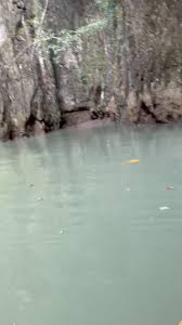 Inside a limestone Kharst in Phang Nga bay