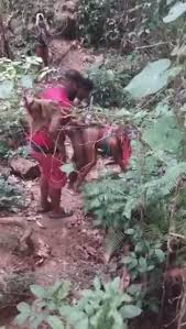 Jamaica 2 - ThisVid.com