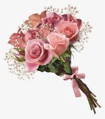 Mario), a pink and white biker suit (mario kart wii and both versions of mario kart 8, daisy and rosalina also receiving their own in their respective color schemes; Pink Rose Bouquet Png Clipart Flowers Pinterest Pink Bride Flower Bouquet Png Png Image Transparent Png Free Download On Seekpng