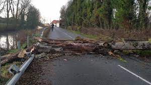 Check spelling or type a new query. Un Arbre Tombe Sur La Route D Audruicq A Saint Folquin