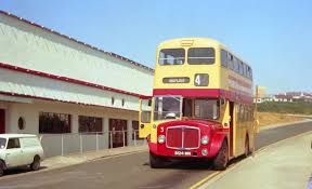 Image result for Yellow 1976 Fleet