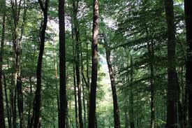 706 likes · 25 talking about this · 368 were here. Experience Bavaria Unesco Biosphere Reserves In The State Of Bavaria Invest In Bavaria